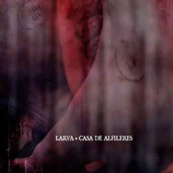 Larva (MEX) : Casa de Alfileres